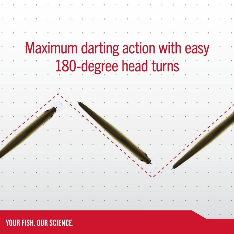 Berkley DEX Stunna 11cm 4 Berkley DEX Stunna 11cm – Image 2