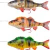 Savage Gear 4D Line Thru Perch -Magasin De Pêche Sportive 57425r 1