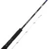 Savage Gear SGS6 Tenya Jeu BC 2.51m F 14-65g -Magasin De Pêche Sportive 78224 550x550 2
