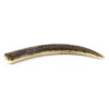 Bite Of Bleak Nazeebo Worm 10cm (8-pack) -Magasin De Pêche Sportive BOB 00 0961r 1