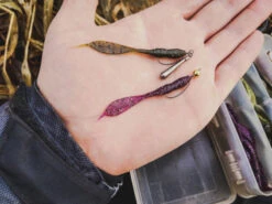 Perch Professor Leech 7cm (8-pack) -Magasin De Pêche Sportive FL78P Or 3