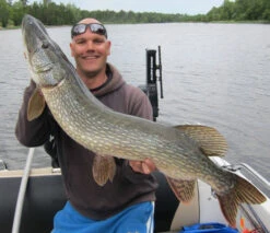 Rad Dog Spinnerbait - Ruff Tackle -Magasin De Pêche Sportive RADDOGr 2