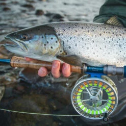 Vision Stifu Flyrod 7 Vision Stifu Flyrod -Magasin De Pêche Sportive VFU4967r 3