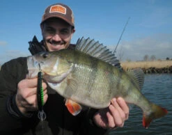 Platypus Deep Runner 10 Cm -Magasin De Pêche Sportive WS17912r 3