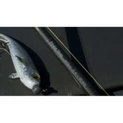 Fox Rage Terminator Casting Canne Big Bait Special 240cm 200g 25 Fox Rage Terminator Casting Canne Big Bait Special 240cm 200g -Magasin De Pêche Sportive dsc05009 550x550w